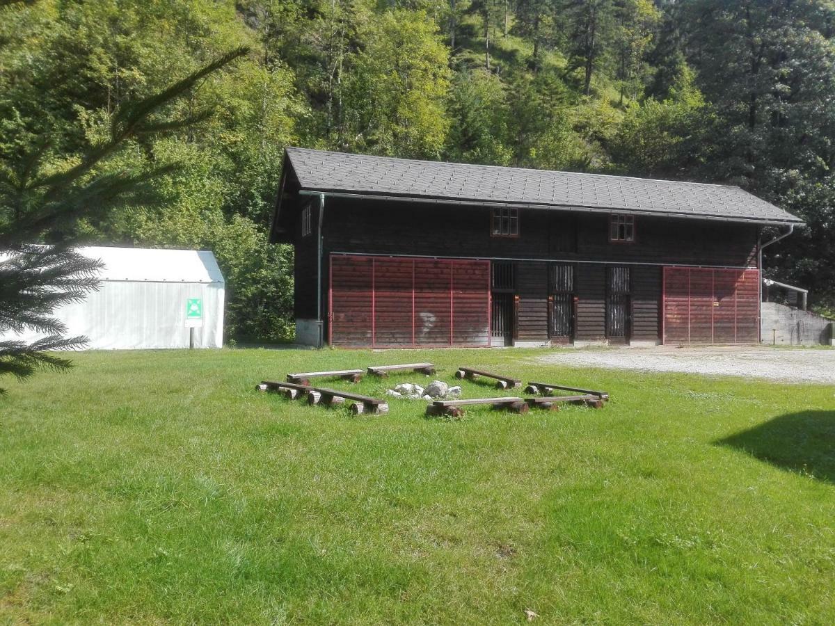 Penzion Black Sheeps Adventures Wildalpen Eksteriør billede